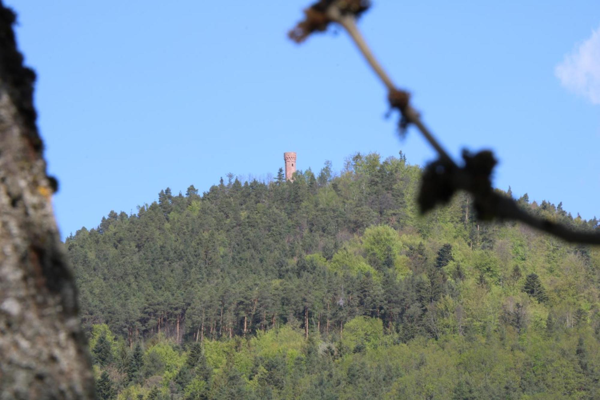 Chambres D'Hotes Les Ecrins Orbey Zewnętrze zdjęcie